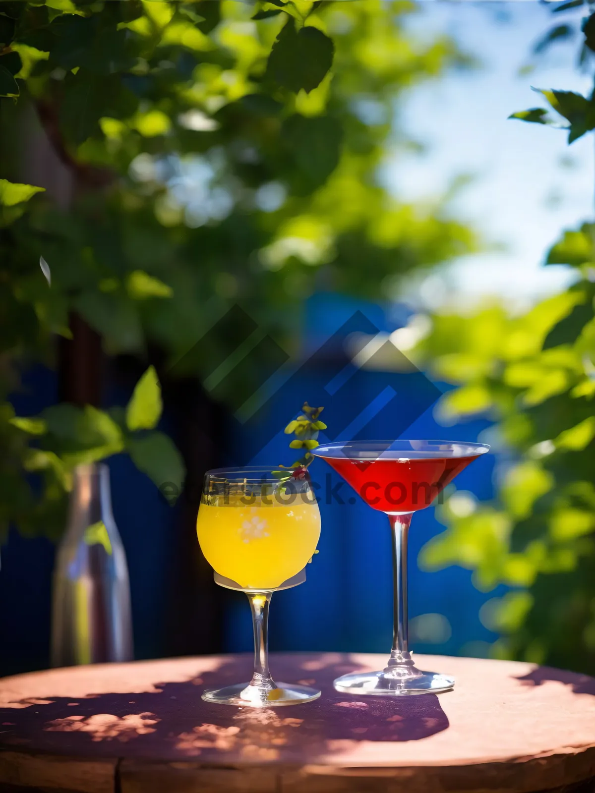 Picture of Sparkling Wine Martini in Cocktail Glass with Fruit Garnish
