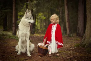 Cute Feline and Canine Friends in the Wild