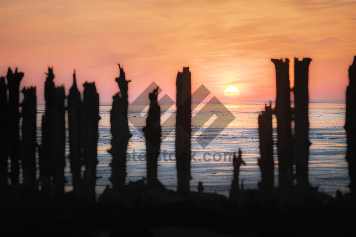 Picture of Silhouette skyline with sunset over the sea.