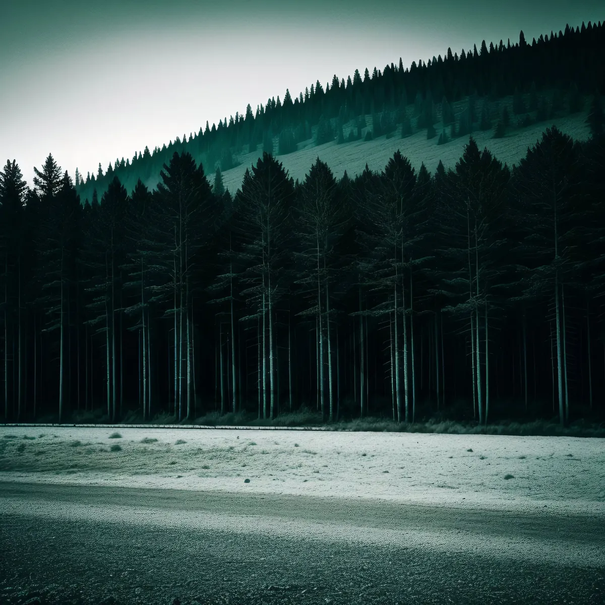 Picture of Scenic Mountain Landscape with Picket Fence