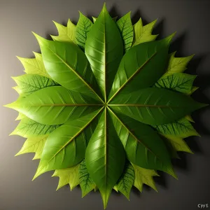 Vibrant Maple Leaf in Forest Foliage