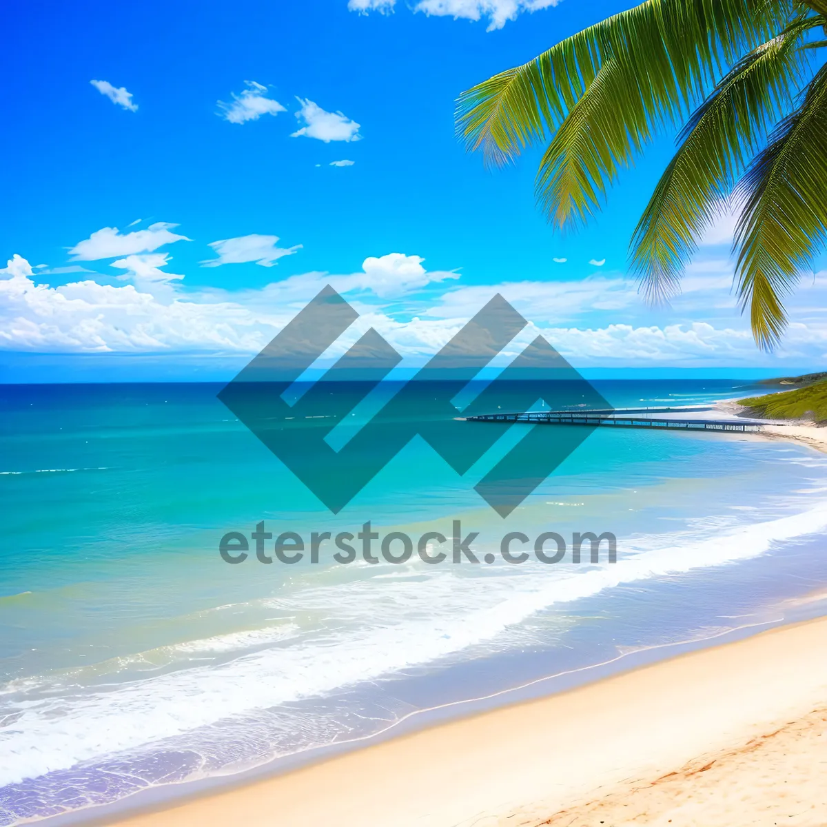 Picture of Turquoise Waters of Paradise: Tranquil Beach Getaway