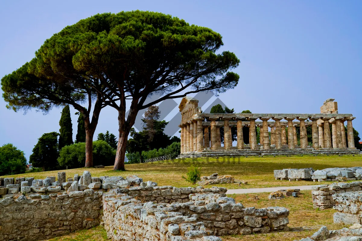 Picture of Ancient Ruins in Historical City Grow by Time