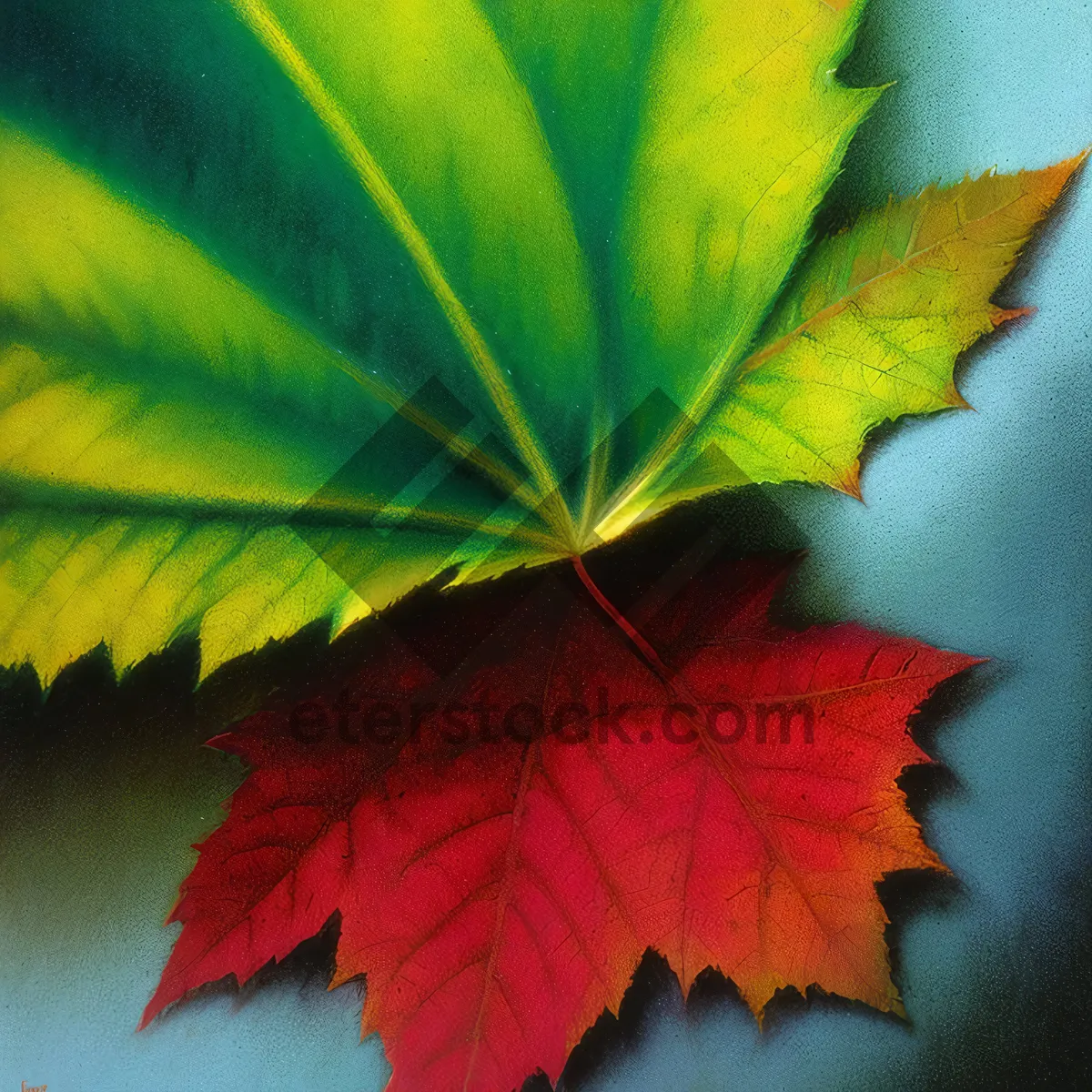 Picture of Vibrant Autumn Maple Leaves in a Colorful Forest