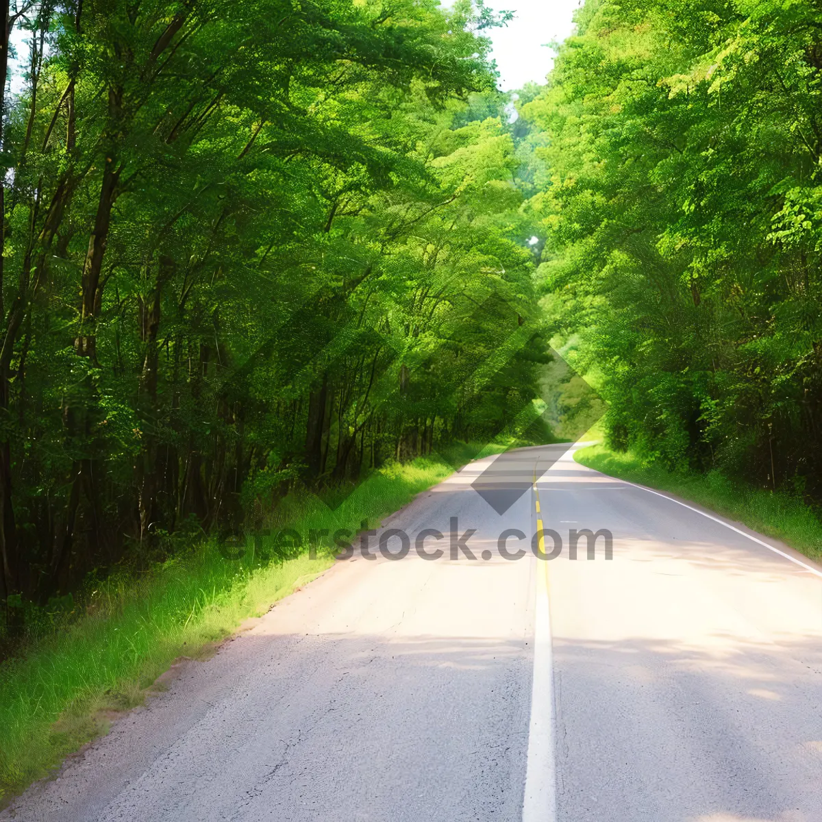 Picture of Scenic Park with Tree-lined Road and Sky Dome