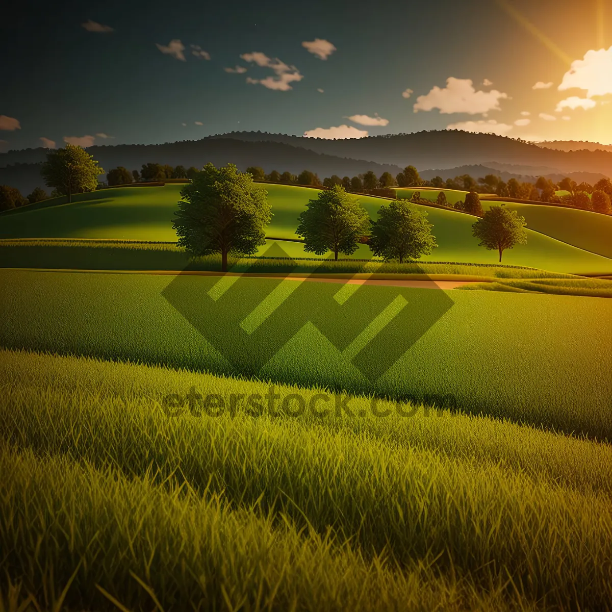 Picture of Golden Rapeseed Field under a Sunny Sky