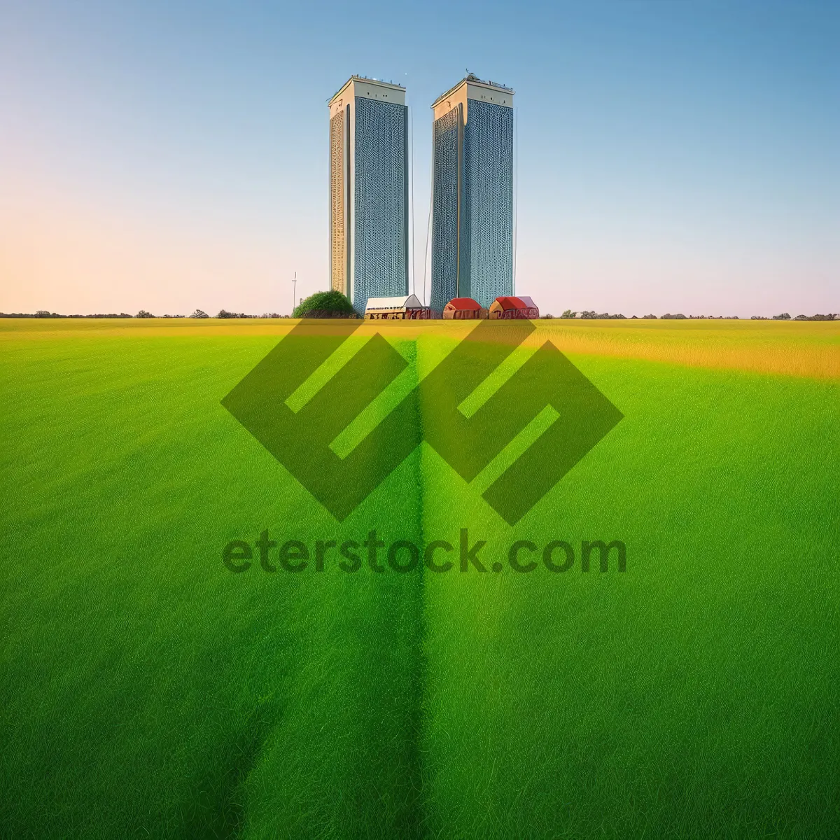 Picture of Idyllic Wheat Field Under Sunny Sky