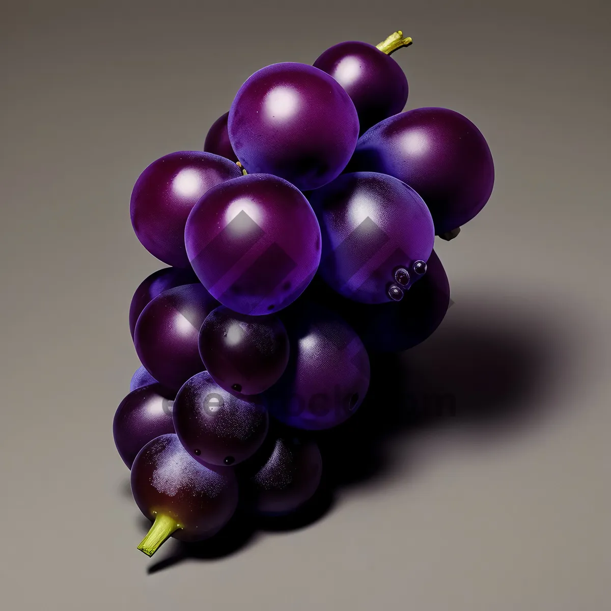 Picture of Autumn Harvest of Juicy Purple Grapes in Vineyard.