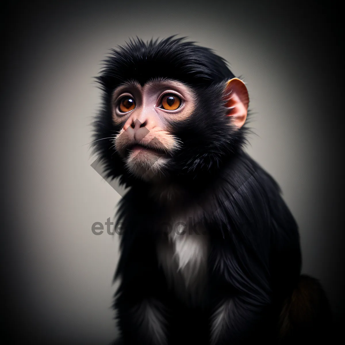Picture of Plush Primate Face in Natural Safari Setting.