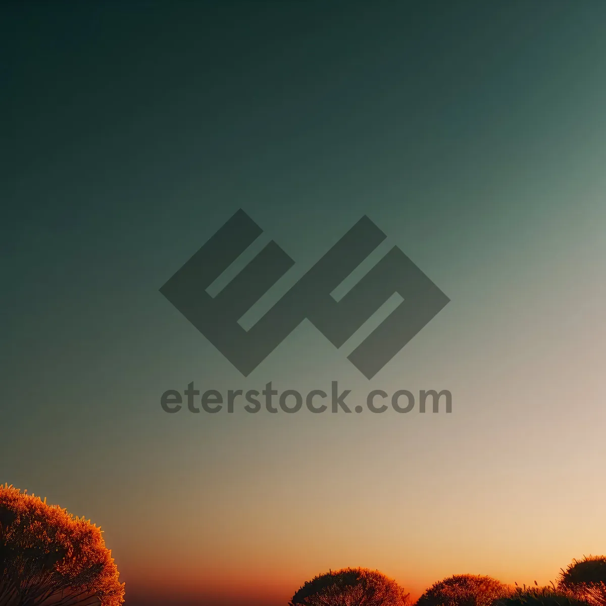 Picture of Golden Horizon: Sun setting over rural landscape with vibrant plants.