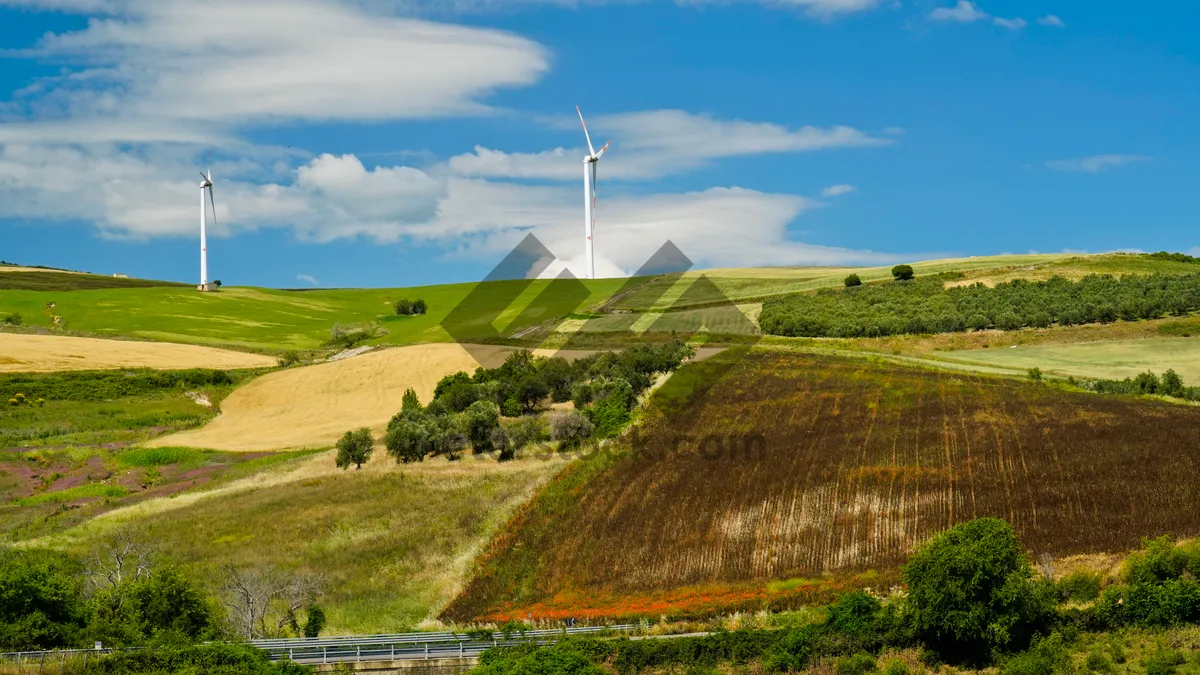 Picture of Rural landscape with wind turbine on grassy hill