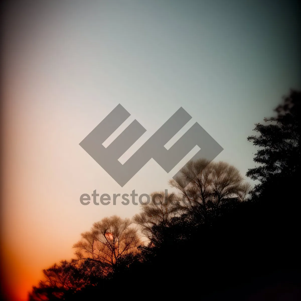 Picture of Spectacular Sunset Silhouette Over Scenic Landscape