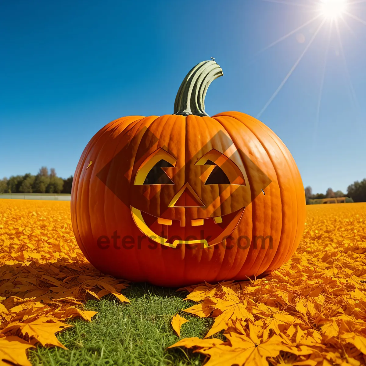 Picture of Festive Pumpkin Lantern Decoration for Autumn Harvest