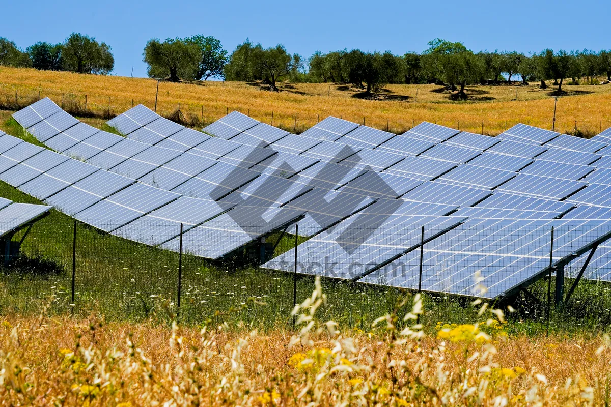 Picture of Solar panel on grassy rooftop under sunny sky.