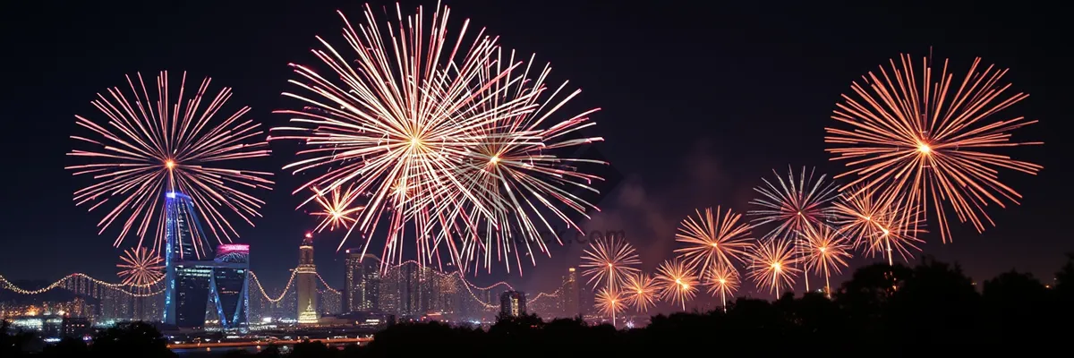 Picture of Night sky celebration fireworks bursting with colors.