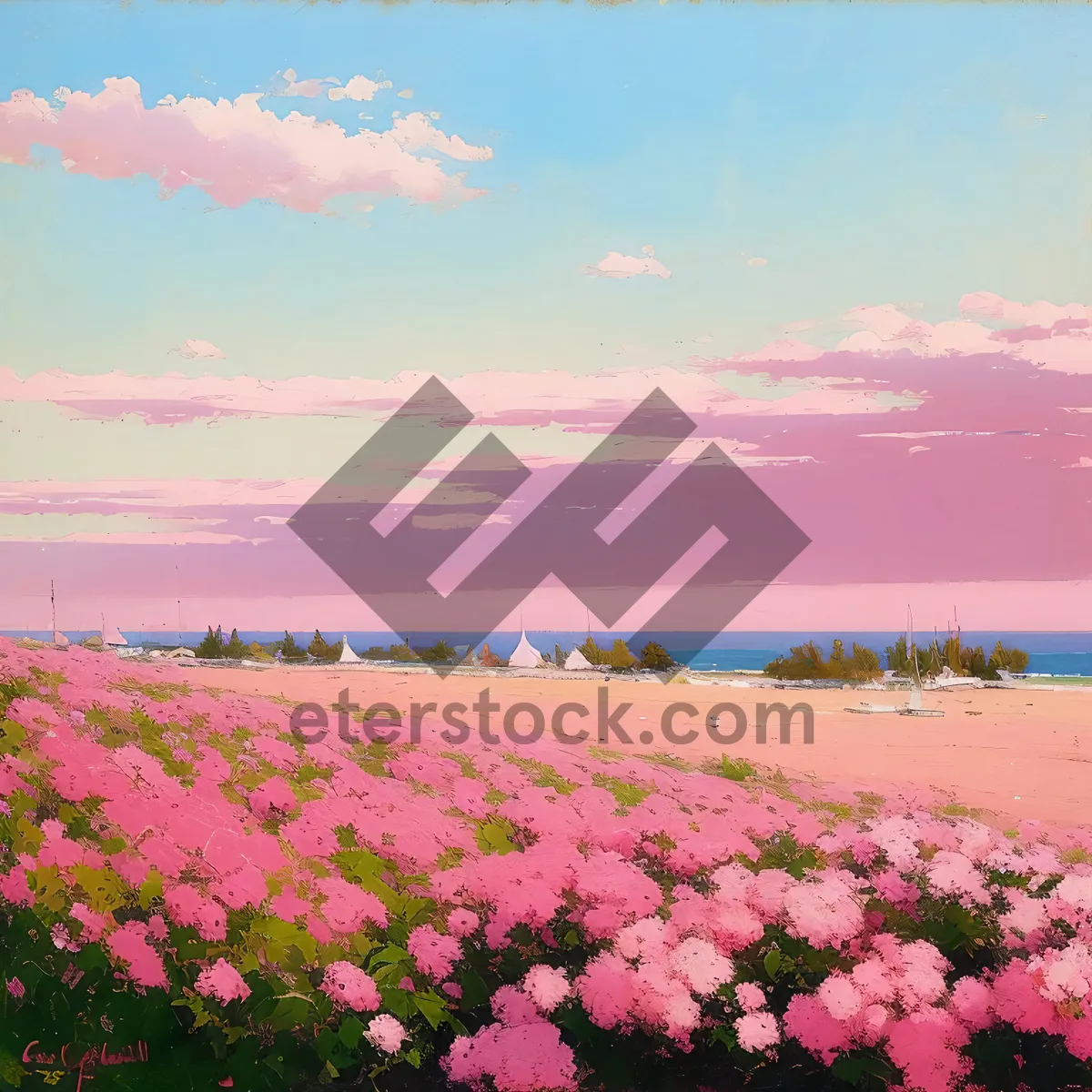 Picture of Vibrant Pink Phlox Flowers in Blooming Meadow