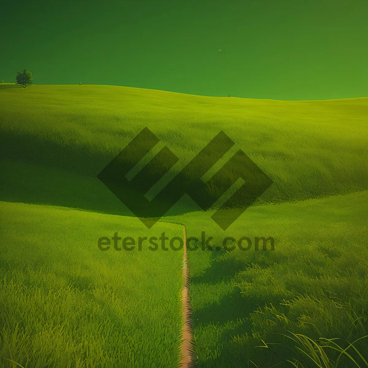 Picture of Golden Wheat Fields Under Clear Blue Sky