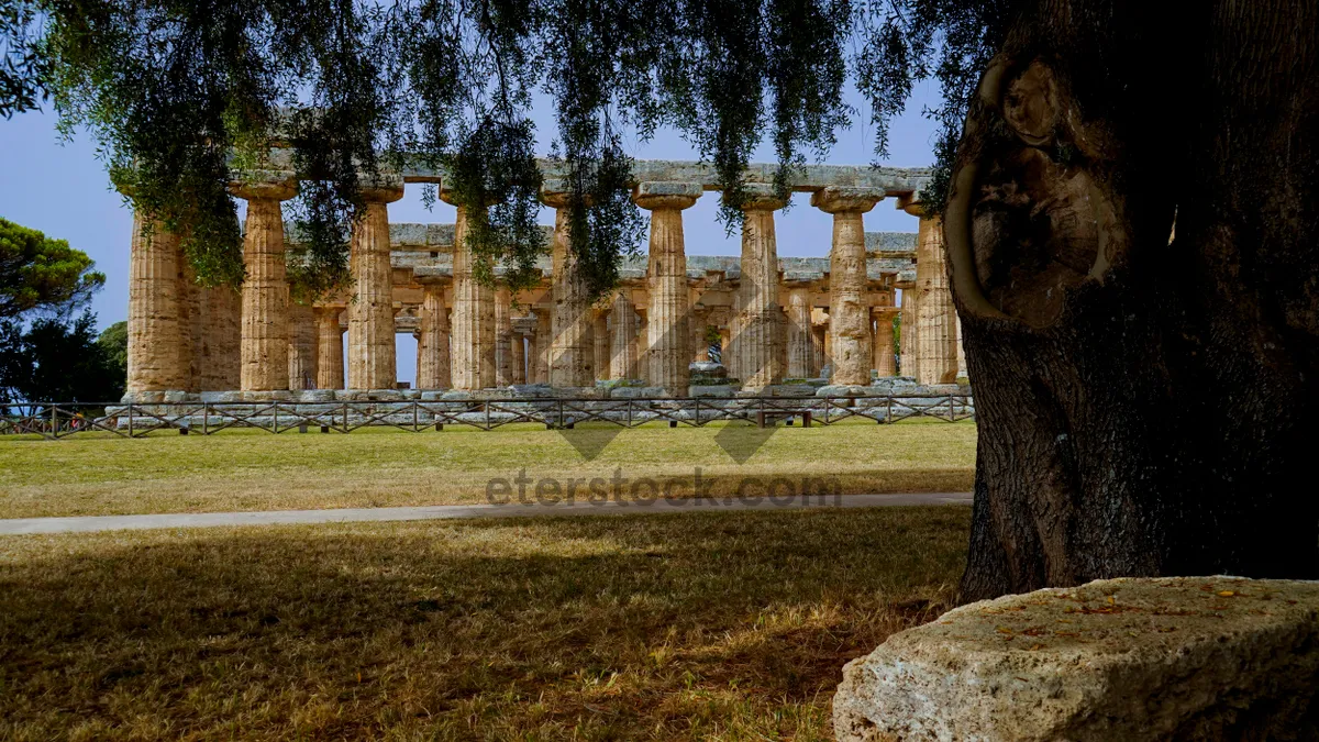 Picture of Old cemetery structure in park with ancient gravestones