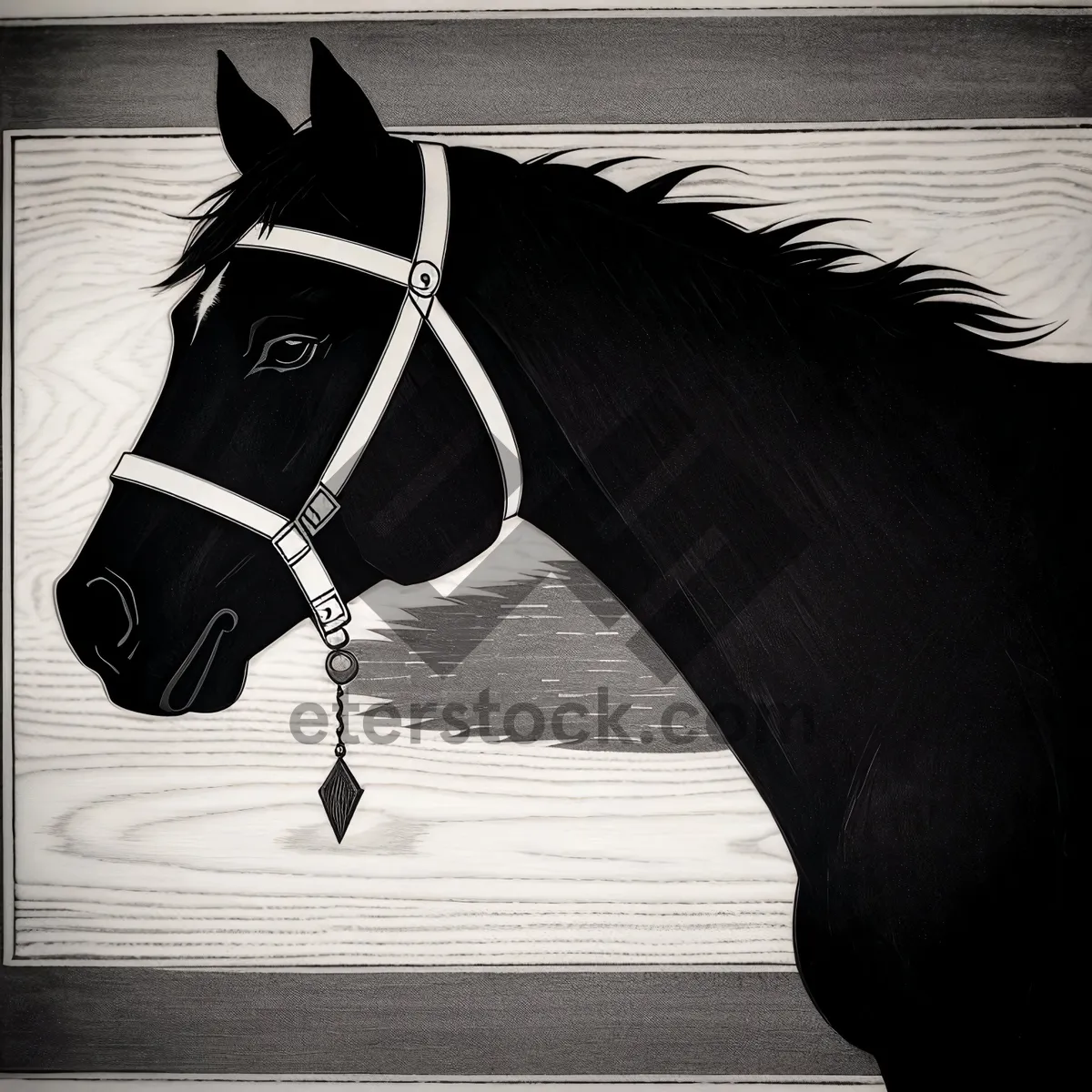 Picture of Horse Bridle in Stable Gear