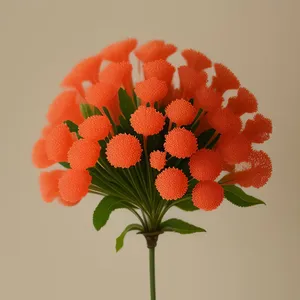 Pretty Pink Daisy Flower Bouquet in Summer Garden