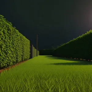 Serene Summer Sky Over Rolling Green Hills