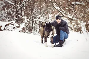 Winter Fun in the Snow with Dogs and Sled