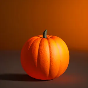Autumn Harvest: Fresh Organic Pumpkins and Squash