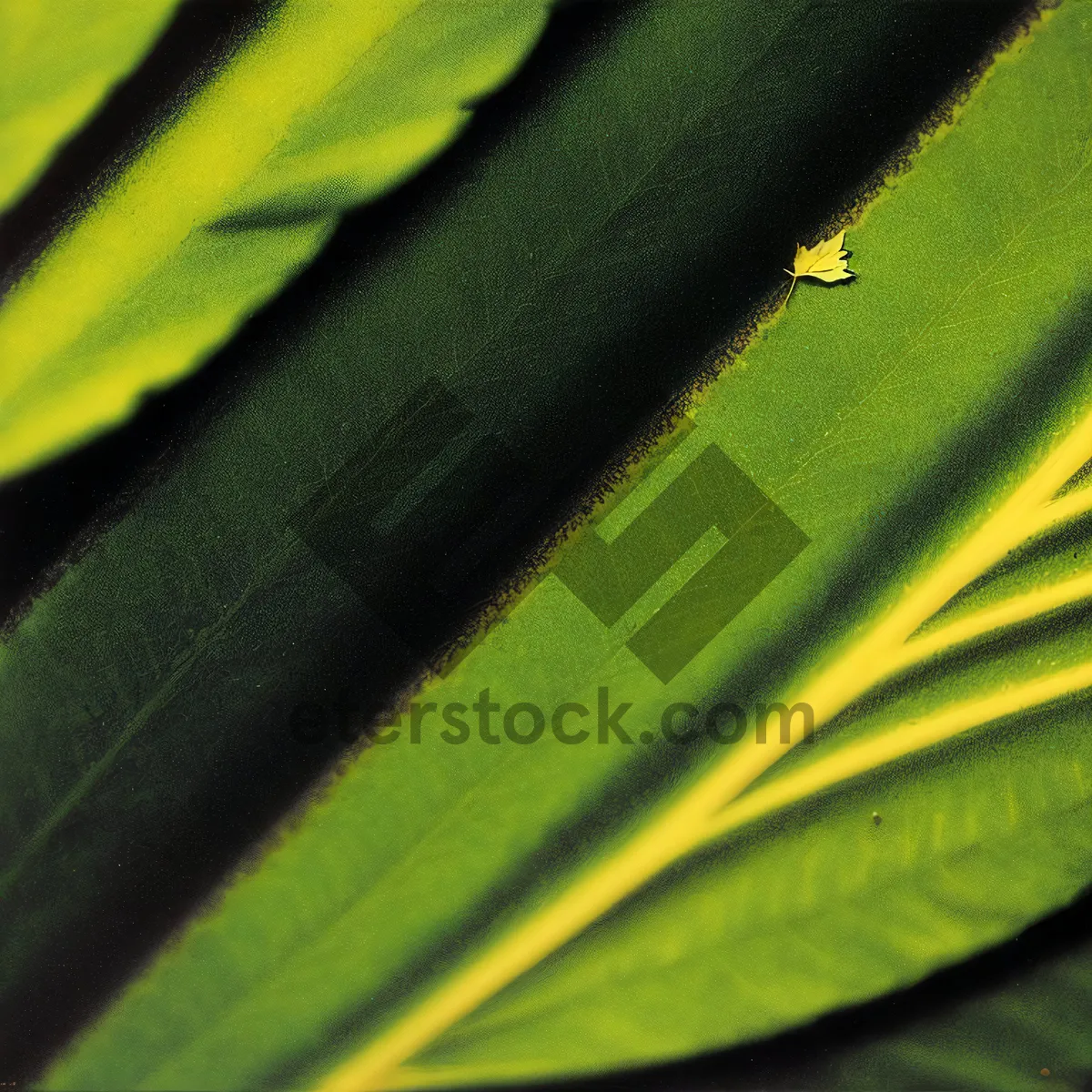 Picture of Vibrant Green Lizard Basking in Sunny Garden