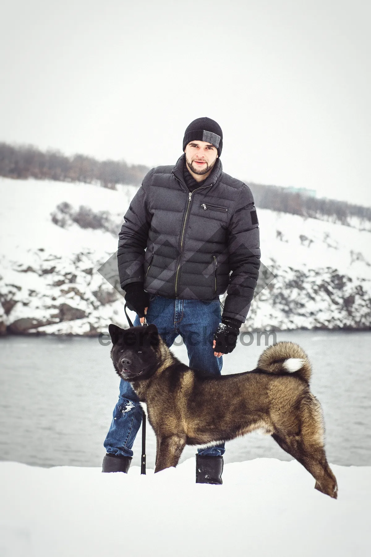 Picture of Man and dog in winter mountain fun