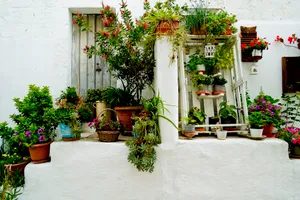 House with flower pots on patio garden