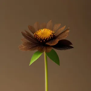 Vibrant sunflower in bright summer sunlight