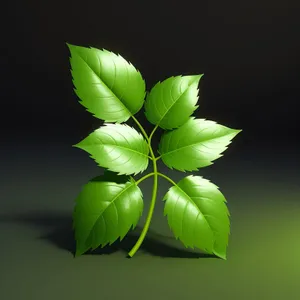 Vibrant Spring Foliage in a Forest