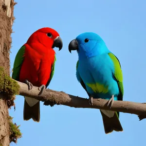 Vibrant Macaw Perched with Colorful Feathers