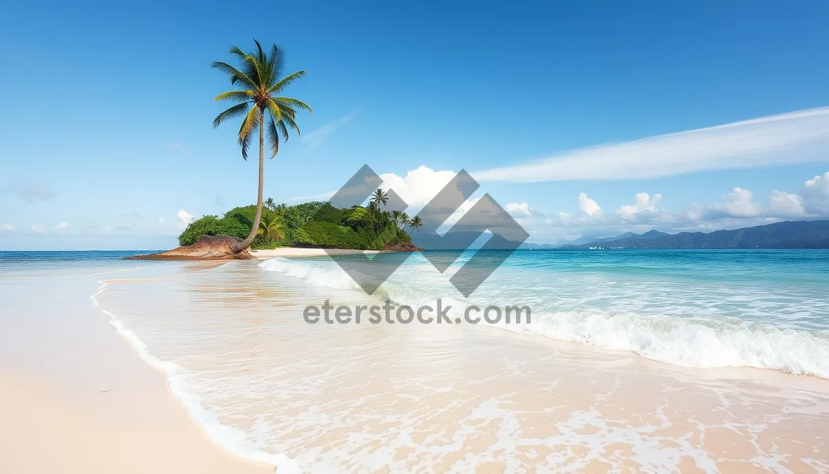 Picture of Sunny Beach Relaxation in Tropical Paradise