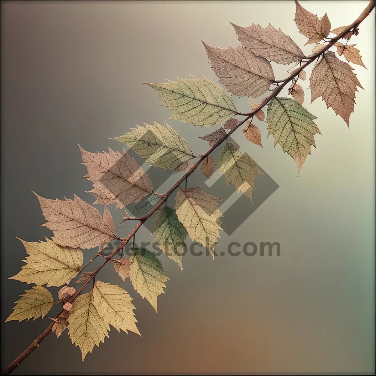 Picture of Autumn Maple Branch with Vibrant Orange Foliage