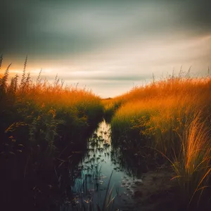 Golden Horizon: Sunset over a Rural Landscape