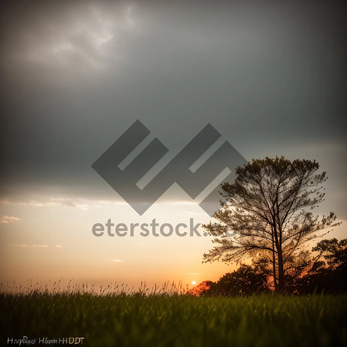 Picture of Vibrant Sunset Sky Over Rural Landscape
