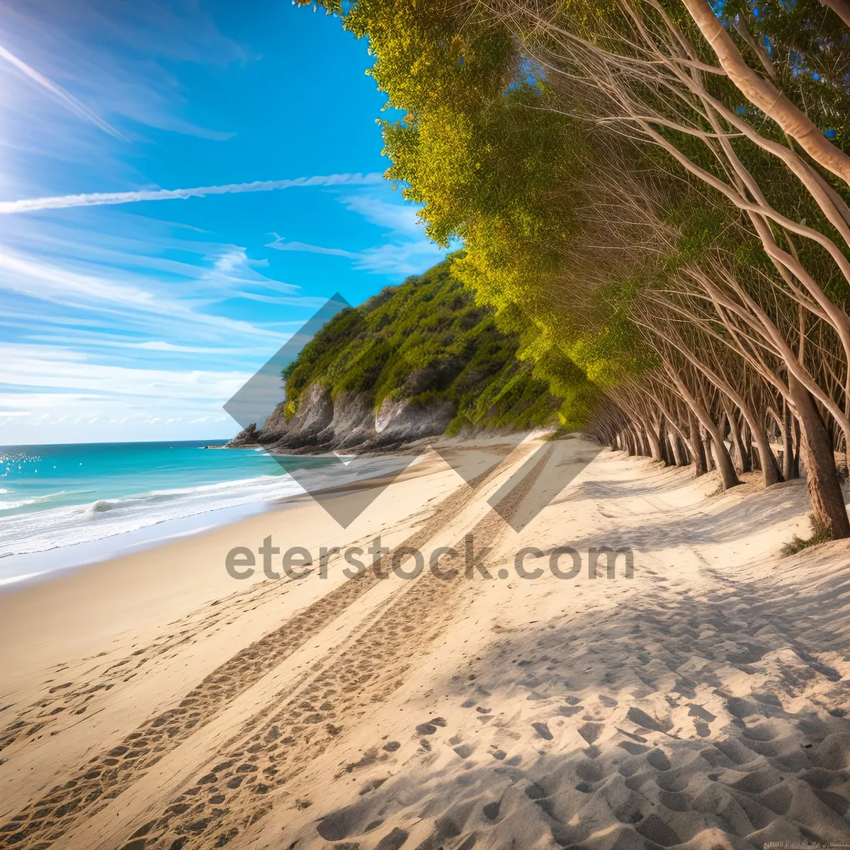 Picture of Tropical Paradise: Coastline Bliss