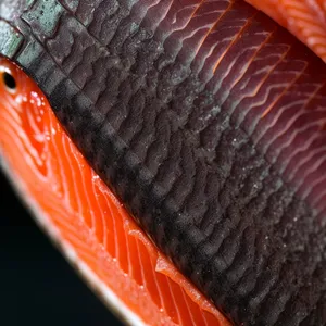 Freshly Sliced Salmon: A Gourmet Seafood Dinner