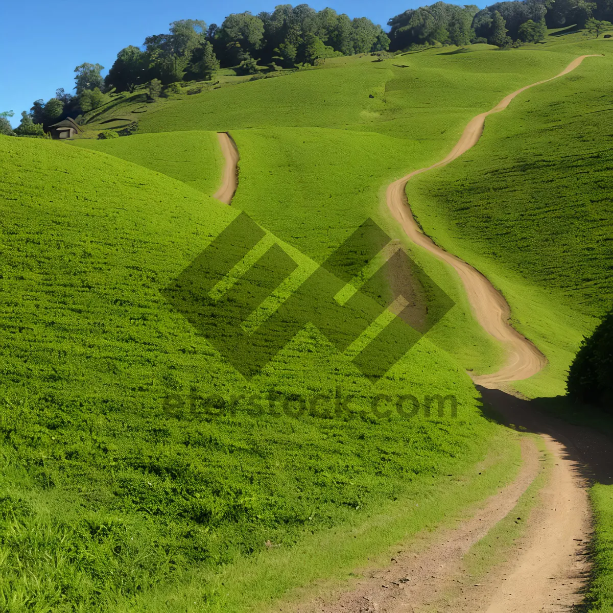 Picture of Serene Summer Tea Amidst Scenic Mountain Landscape