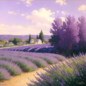 Serene Lavender Meadow Under Blue Sky