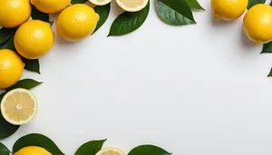 Fresh Citrus Fruits on Green Leaf Background