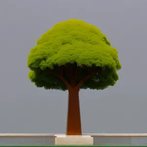 Skyward Support: Tree Pedestal with Pot