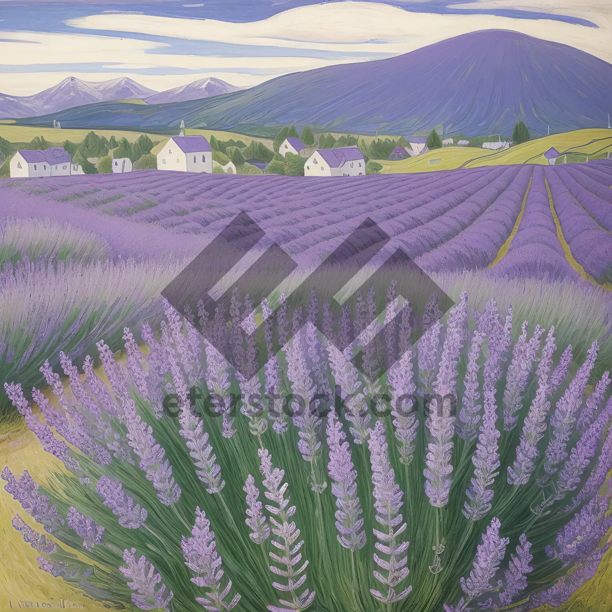 Picture of Vibrant Purple Lavender Shrub in Field