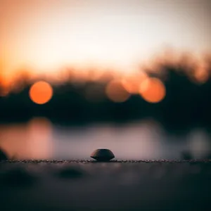 Dusk's Golden Horizon Through Clouds
