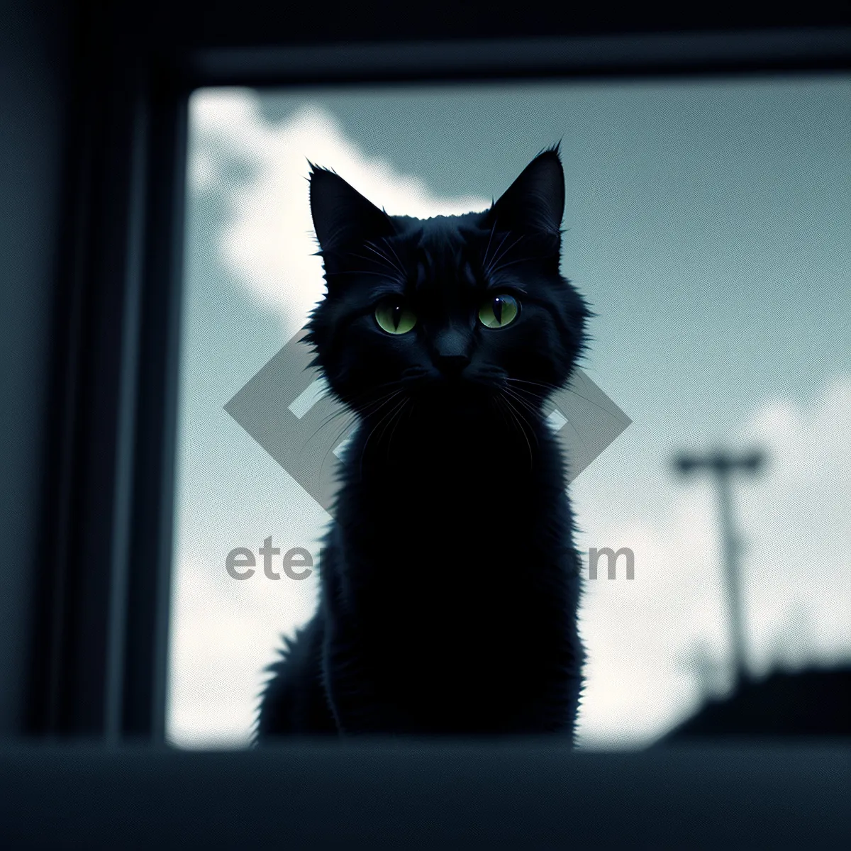 Picture of Adorable gray tabby kitten on windowsill