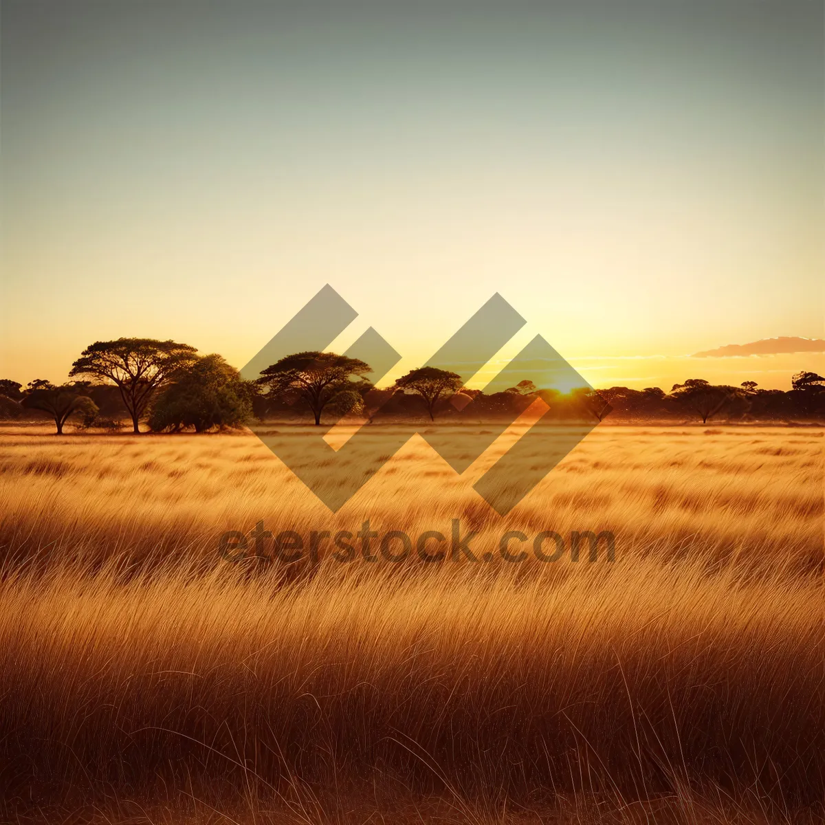 Picture of Sunset Horizon Over Rural Countryside Landscape