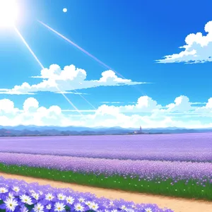 Vast Open Sky Over Green Pasture