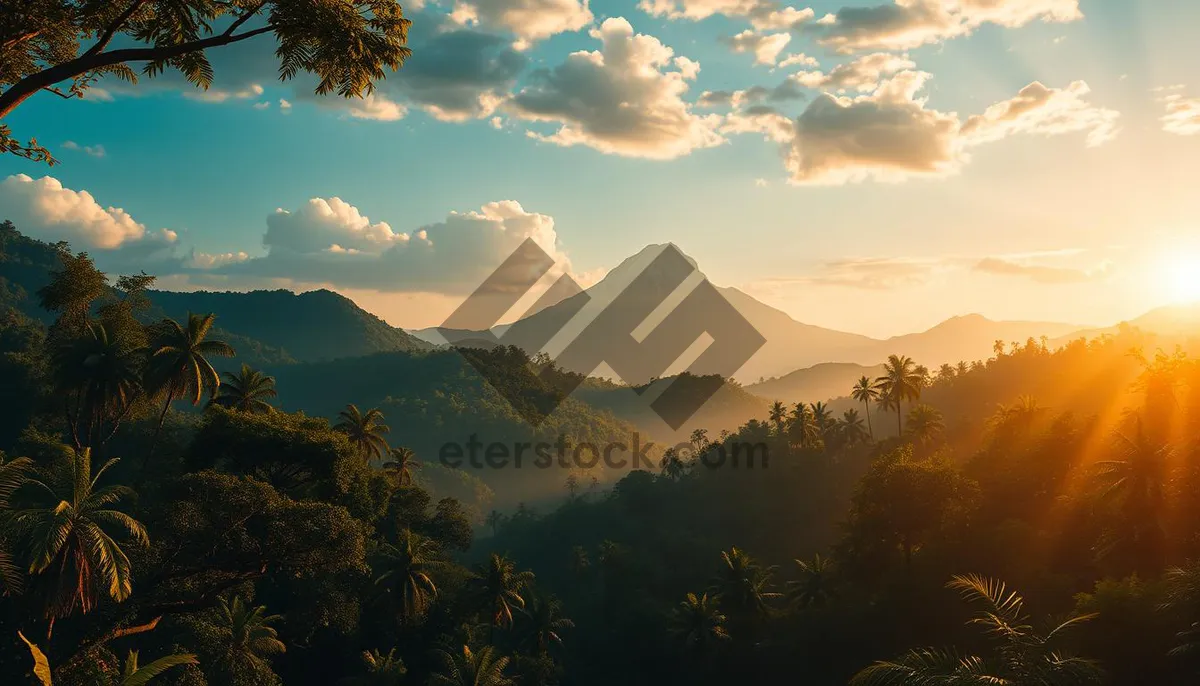 Picture of Glowing sunset behind mountain range in national park