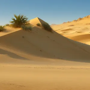 Dunes of Morocco: A Sunny Desert Adventure